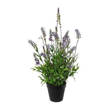 Fiore decorativo lavanda SMORLI in vaso decorativo, viola, 50 cm