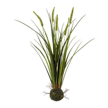 Erba cinese artificiale MILNO, globo terrestre, pannocchie, radici, verde, 65 cm