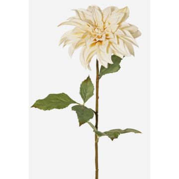 Dalia artificiale PHILLIPPA, Eco Collection, crema-giallo, 65cm, Ø15cm Dalia artificiale PHILLIPPA, Eco Collection, crema-giallo, 65cm, Ø15cm
