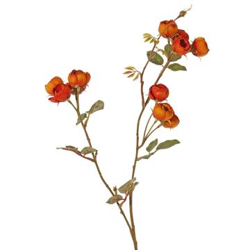 Ramo artificiale di cavolo rosa LORRAINE, Eco Collection, arancio-giallo, 60cm, Ø3cm Ramo artificiale di cavolo rosa LORRAINE, Eco Collection, arancio-giallo, 60cm, Ø3cm