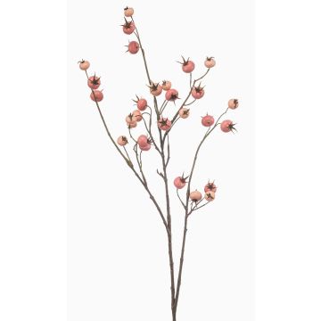 Ramo decorativo rosa di patata FRAVON con bacche di rosa canina, rosa pesca, 100 cm Ramo decorativo rosa di patata FRAVON con bacche di rosa canina, rosa pesca, 100 cm