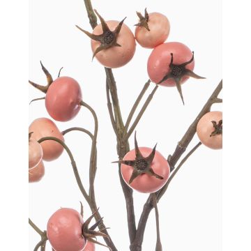 Ramo decorativo rosa di patata FRAVON con bacche di rosa canina, rosa pesca, 100 cm