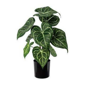 Pianta artificiale Anthurium KURMA, verde-bianco, 35 cm