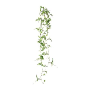 Decorazione da appendere Tradescantia zebrina FROLHE, bastoncino, verde-bianco, 100 cm