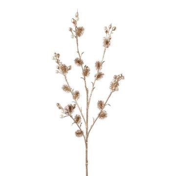 Decorazione ramo di cardo sferico FRONKA con perle, champagne, 65 cm