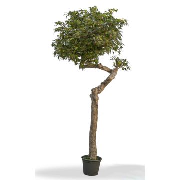 Acero giapponese artificiale KIMKA, tronco naturale, verde-rosso, 275 cm - Made in Italy Acero giapponese artificiale KIMKA, tronco naturale, verde-rosso, 275 cm - Made in Italy