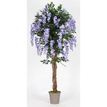 Glicine artificiale ANNIARA, tronchi reali, con fiori, viola, 150 cm - Made in Italy