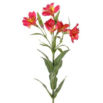 Ramo decorativo Giglio di Perù AUBERTA, fucsia-giallo, 75cm, Ø6cm