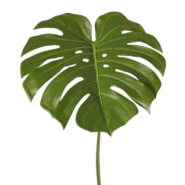 Piante artificiali Foglia Monstera THALWIL, 60 cm