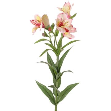 Ramo decorativo di alstroemeria AUBERTA, rosa-fucsia-giallo, 75cm, Ø6cm