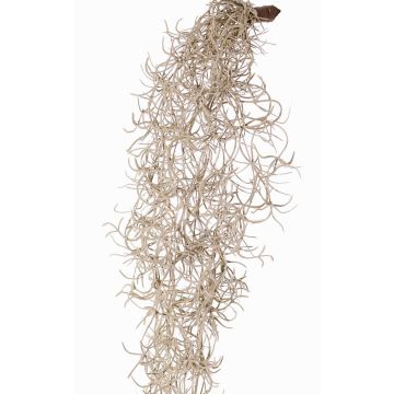 Tillandsia Usneoides artificiale LIVADI su bastone, grigio, 115cm Tillandsia Usneoides artificiale LIVADI su bastone, grigio, 115cm