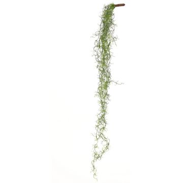 Tillandsia Usneoides artificiale LIVADI su bastoncino, verde, 115 cm