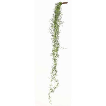 Tillandsia Usneoides artificiale LIVADI su bastoncino, verde, 115cm Tillandsia Usneoides artificiale LIVADI su bastoncino, verde, 115cm