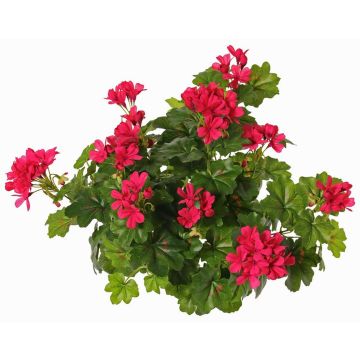 Fiore artificiale geranio MIA su bastoncino, fucsia, 40cm, Ø5-8cm Fiore artificiale geranio MIA su bastoncino, fucsia, 40cm, Ø5-8cm