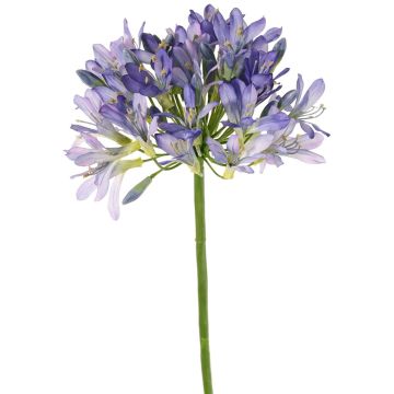Fiore artificiale Agapanthus KAFENA, blu-lilla, 90cm, Ø20cm Fiore artificiale Agapanthus KAFENA, blu-lilla, 90cm, Ø20cm