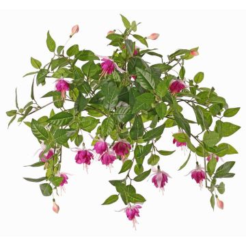 Fucsia artificiale KROUSIA, bastoncino, rosa-viola, 30cm, Ø5cm Fucsia artificiale KROUSIA, bastoncino, rosa-viola, 30cm, Ø5cm