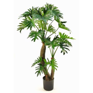 Pianta artificiale filodendro Selloum DONIS, tronchi artificiali, 180cm Pianta artificiale filodendro Selloum DONIS, tronchi artificiali, 180cm