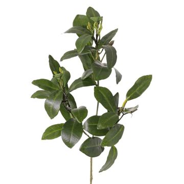 Ramo di mangrovia artificiale USTERA, germogli, difficilmente infiammabile, verde, 60 cm