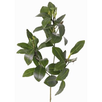 Ramo di mangrovia artificiale USTERA, germogli, difficilmente infiammabile, verde, 60cm