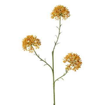 Ramo decorativo Allium ALIKIO, arancione, 65cm, Ø7cm Ramo decorativo Allium ALIKIO, arancione, 65cm, Ø7cm