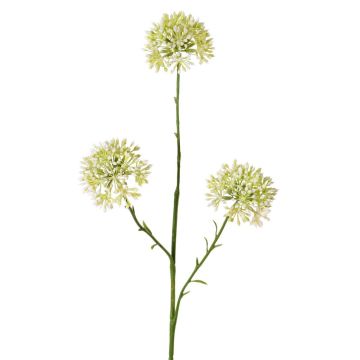 Ramo decorativo Allium ALIKIO, bianco, 65 cm, Ø 6,5 cm