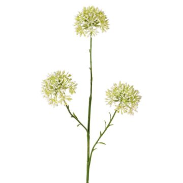 Ramo decorativo Allium ALIKIO, bianco, 65 cm, Ø 6,5 cm Ramo decorativo Allium ALIKIO, bianco, 65 cm, Ø 6,5 cm
