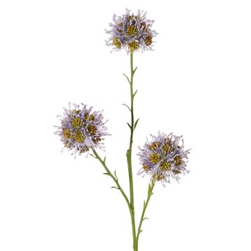 Ramo di Allium artificiale ZEBU, viola, 65 cm, Ø 6 cm Ramo di Allium artificiale ZEBU, viola, 65 cm, Ø 6 cm