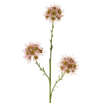 Ramo di Allium artificiale ZEBU, rosa, 65cm, Ø7cm Ramo di Allium artificiale ZEBU, rosa, 65cm, Ø7cm