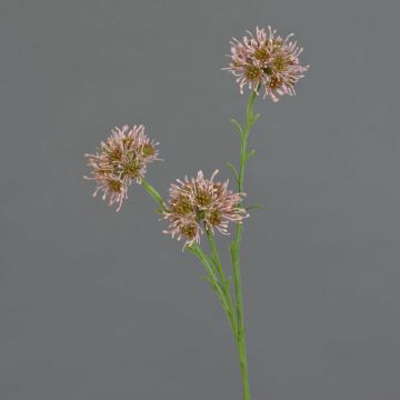 Ramo di Allium artificiale ZEBU, rosa, 65 cm, Ø 6 cm