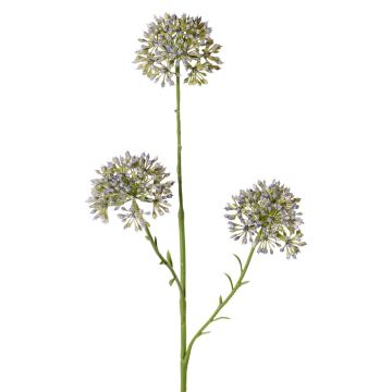 Ramo decorativo Allium ALIKIO, blu, 65cm, Ø7cm Ramo decorativo Allium ALIKIO, blu, 65cm, Ø7cm