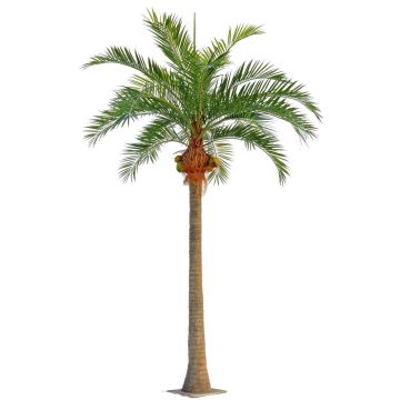 Palma da cocco artificiale NARUN con noci di cocco, 570 cm
