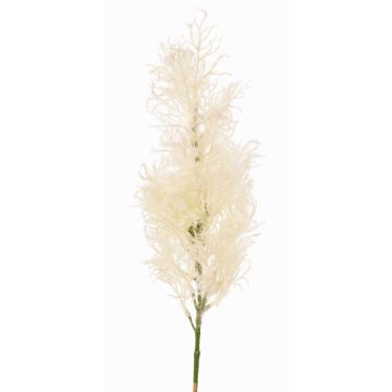 Ramo decorativo RADERAS con fiori, crema, 70cm, Ø10cm Ramo decorativo RADERAS con fiori, crema, 70cm, Ø10cm