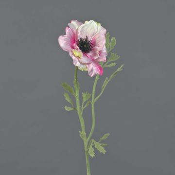 Anemone artificiale OKAPI, rosa-bianco, 55 cm, Ø 10 cm