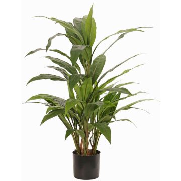Cordyline artificiale ORMOS, verde, 80cm Cordyline artificiale ORMOS, verde, 80cm