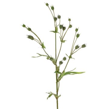 Ramo artificiale di lino KALENO con boccioli, verde, 70 cm