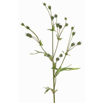 Ramo artificiale di lino KALENO con boccioli, verde, 70cm
