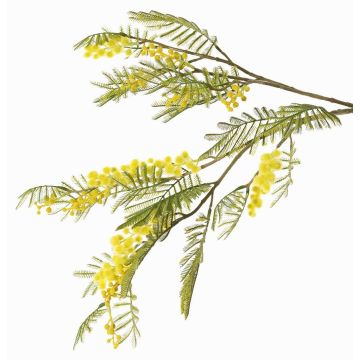Ramo decorativo di mimosa BRANAU con fiori, giallo, 80cm, Ø0,5cm
