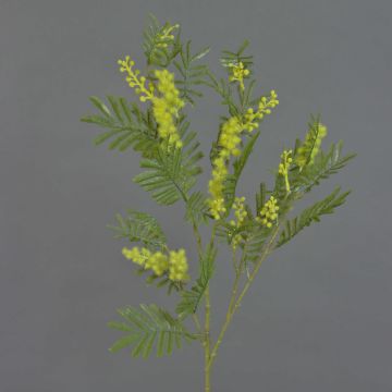 Ramo decorativo di mimosa BRANAU con fiori, giallo, 75 cm