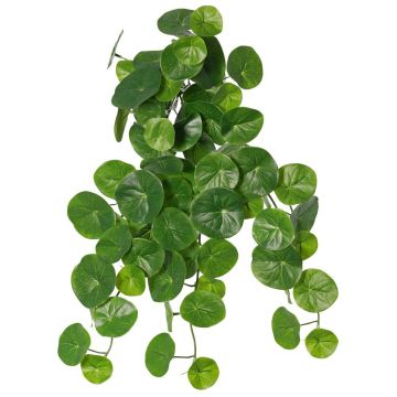 Pianta artificiale Stephania erecta ANOGIA su bastone, verde, 50 cm