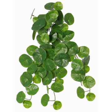 Pianta artificiale Stephania erecta ANOGIA su bastone, verde, 50cm