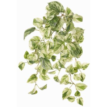 Pianta artificiale Pothos pendente SITIA, bastone, verde-bianco, 50cm