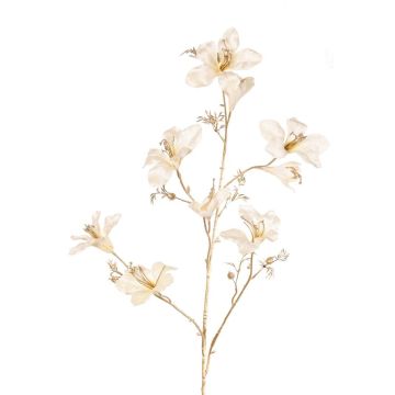 Ramo decorativo in velluto GAZERA, crema-oro, 115 cm