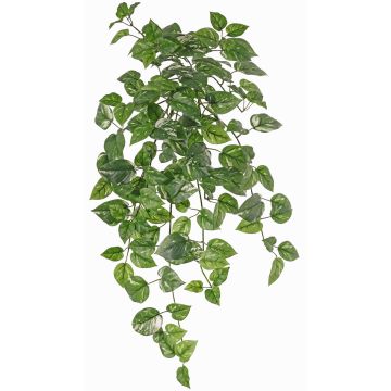 Edera artificiale POTTEN, bastoncino, verde-bianco, 80cm