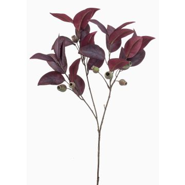 Ramo artificiale di eucalipto VIZIMIR con frutti, rosso bordeaux, 80 cm
