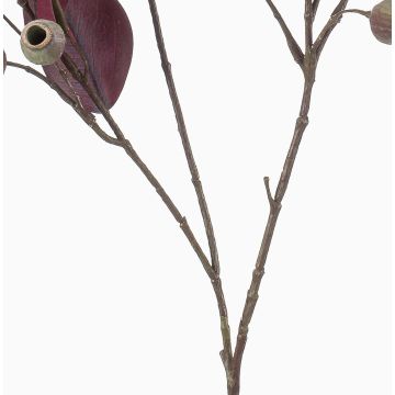Ramo artificiale di eucalipto VIZIMIR con frutti, rosso bordeaux, 80 cm Ramo artificiale di eucalipto VIZIMIR con frutti, rosso bordeaux, 80 cm