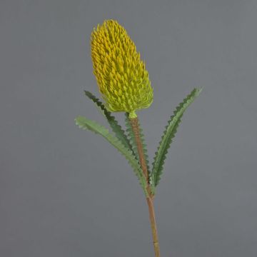 Fiore artificiale Banksia robur EREDIN, giallo, 70 cm