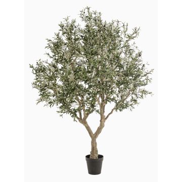 Olivo artificiale ZALIKI, tronco artificiale, frutti, verde, 250 cm