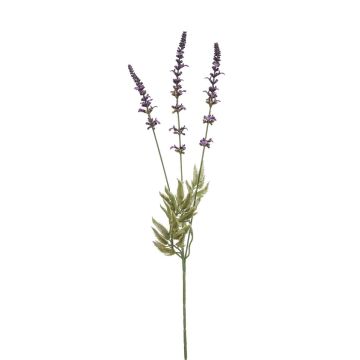 Fiore artificiale lavanda TORNE, viola, 65 cm