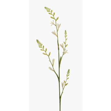 Fiore artificiale Montbretia KATHERYN, crema, 90 cm