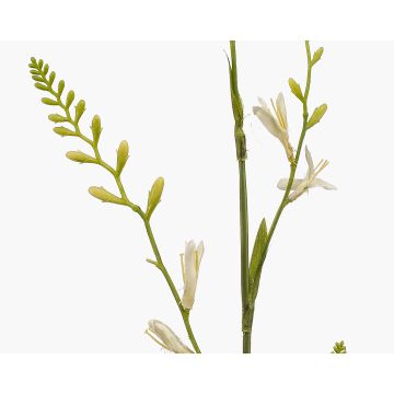 Fiore artificiale Montbretia KATHERYN, crema, 90 cm Fiore artificiale Montbretia KATHERYN, crema, 90 cm